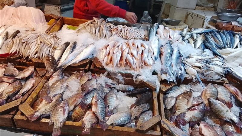 السمك
