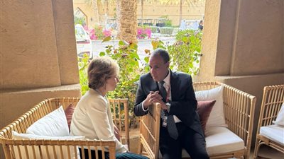 وزير الخارجية يلتقي بمستشارة الرئيس الفرنسي للشرق الأوسط بمنتدى صير بنى ياس