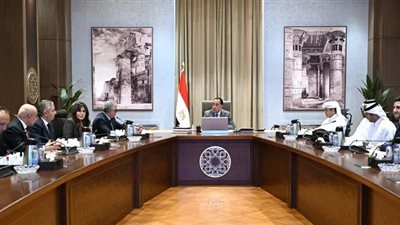 رئيس الوزراء يلتقي الرئيس التنفيذي لشركة 