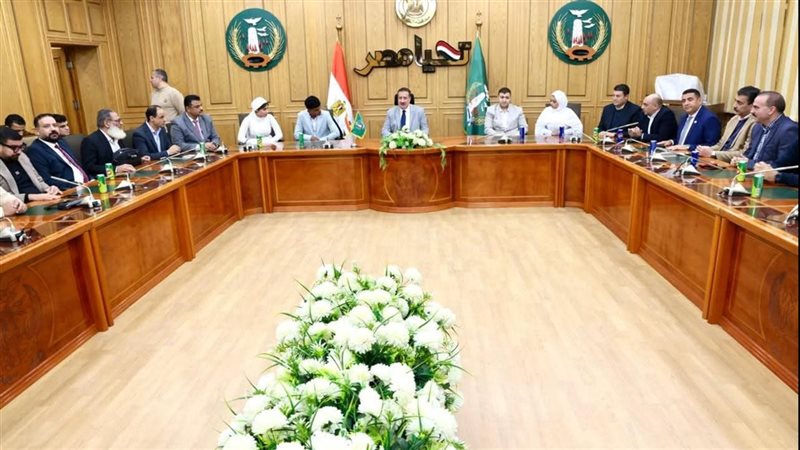 المنوفية