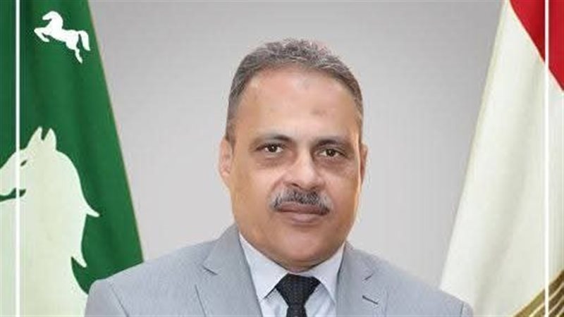 محافظ الشرقية 
