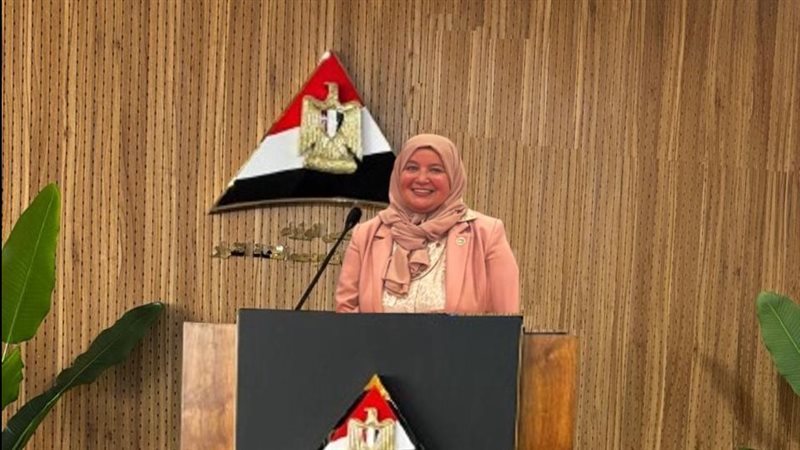 الشركة