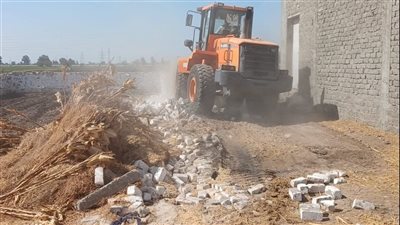 محافظ كفر الشيخ: حملات مكثفة لإزالة التعديات على الأراضي الزراعية والبناء المخالف