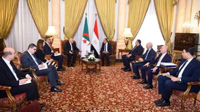 بدر عبدالعاطي يبحث مع نظيره الجزائري تعزيز العلاقات الثنائية والأمن الإقليمي