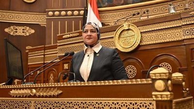 أمين سر لجنة الطاقة والبيئة بالشيوخ: لا تهاون مع سرقة التيار الكهربائي 