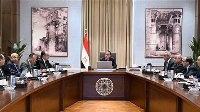 رئيس الوزراء يتابع الموقف التنفيذي لمشروعات تطوير قطاع الغزل والنسيج