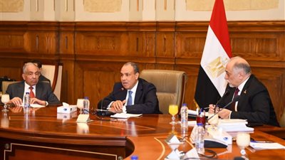 وزير الخارجية يجتمع مع لجنة حقوق الإنسان والتضامن بمجلس الشيوخ لتعزيز التعاون