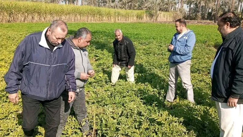 المواطن