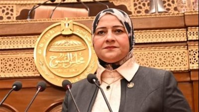مروة قنصوه: البرلمان يدعم إجراءات الحكومة لرفع كفاءة أداء الهيئات الاقتصادية