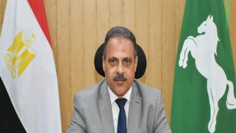 محافظ الشرقية 