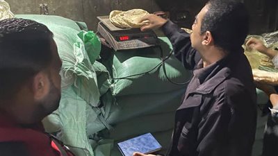 محافظ الدقهلية يأمر بتشديد الرقابة على المخابز وتحرير 13محضرًا في حملة مفاجئة