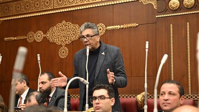 النائب شبل ضحا يطالب بزيادة حد الإعفاء الضريبي وتعديل قانون الضرائب العقارية 