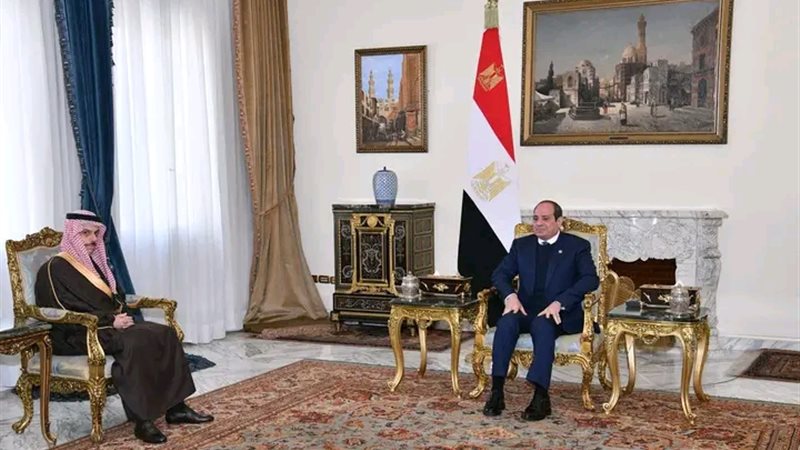 الرئيس السيسي 