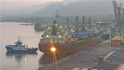 وصول 154 طرد يزن4500 طن لميناء سفاجا ..قادم من ماليزيا