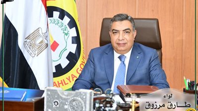 محافظ الدقهلية يتابع إزالة شجرة سقطت بطريق رافد بلقاس بسبب تقلبات الطقس