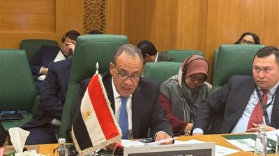 وزير الخارجية المصري يؤكد رفض مصر الأعتراف بأرض الصومال ودعم القضية الفلسطينية