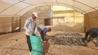 طور سيناء تبدأ تجهيز الصوبة الزراعية لتطوير العمل بالمديرية
