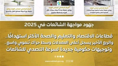 مجلس الوزراء جهود مواجهة الشائعات في 2025..الاقتصاد والتعليم والصحة الأكثر استهدافًا