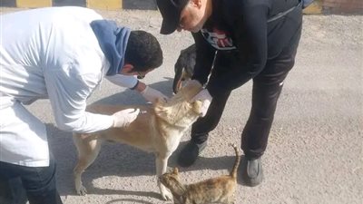 وزارة الزراعة تطلق منظومة وقائية متكاملة لحماية الصحة العامة والثروة الحيوانية