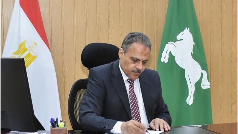 محافظ الشرقية 