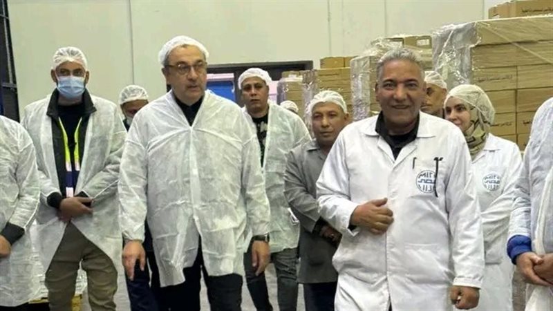 وزير قطاع الأعمال