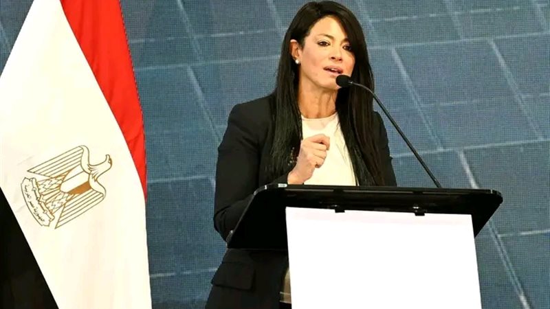 وزيرة التخطيط 