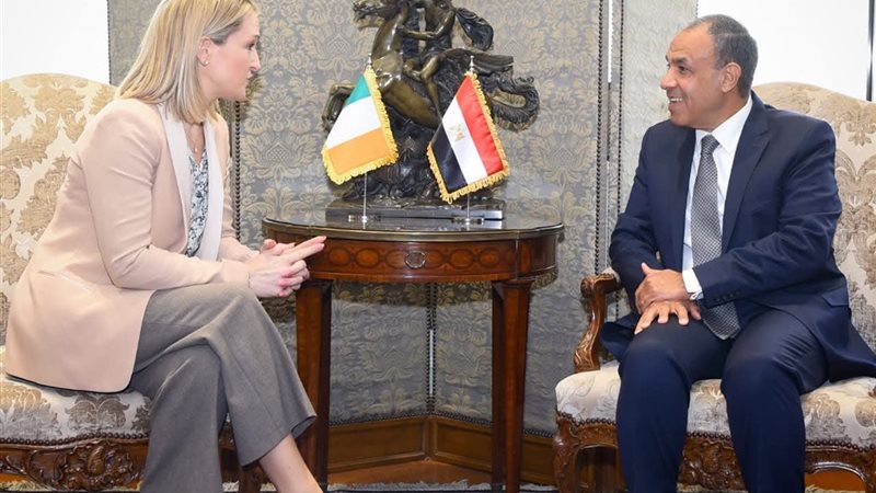 وزير الخارجية 