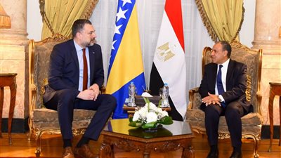 وزيرا الخارجية المصري والبوسني يبحثان تعزيز العلاقات والتطورات الإقليمية