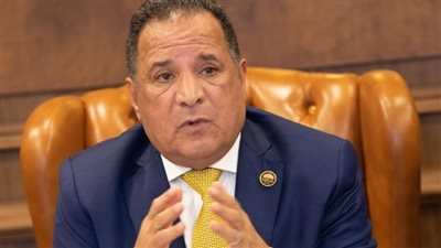 أبو هميلة: رسالة ترامب للرئيس السيسي تعكس قوة مصر دولياً 