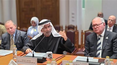 رئيس المجلس العالمي للتسامح والسلام: «يوم العزم» محطة وطنية تجسّد إرادة الإمارات