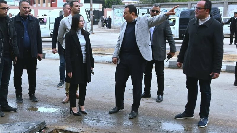 محافظ البحيرة 