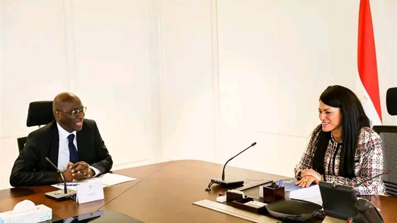 وزيرة التخطيط 