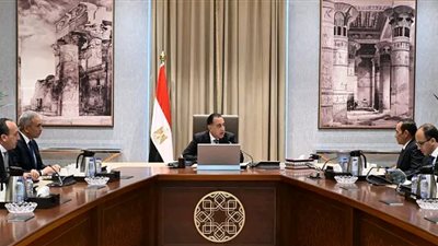 رئيس الوزراء يستعرض الموقف التنفيذي لمشروعات شركة 