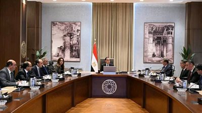 رئيس الوزراء يستعرض إجراءات التعامل مع الحيوانات الضالة والمتروكة