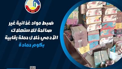 حملة رقابية بالبحيرة تضبط مقرمشات ومواد غذائية غير صالحة بكوم حمادة