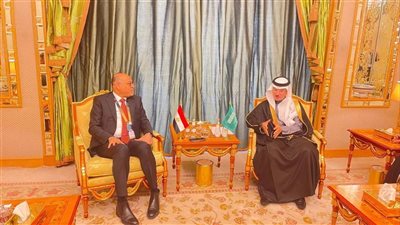 وزير العمل يبحث التعاون مع السعودية في مجال سوق العمل