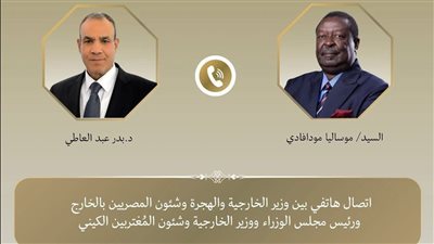 وزير الخارجية يبحث مع نظيره الكيني تعزيز العلاقات الثنائية بين البلدين