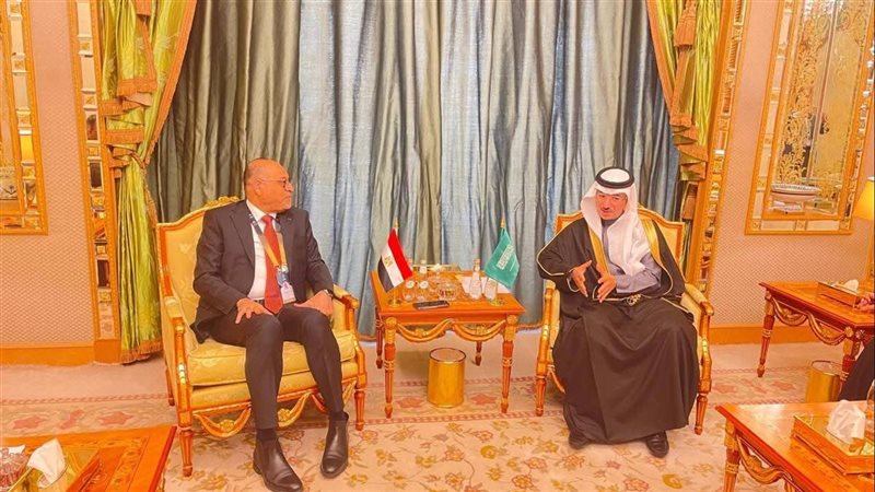 العلاقات المصرية