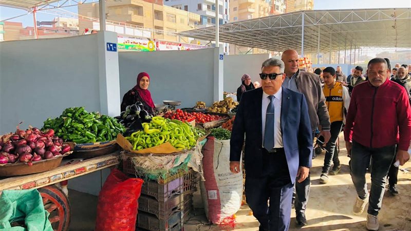 محافظ الدقهلية 