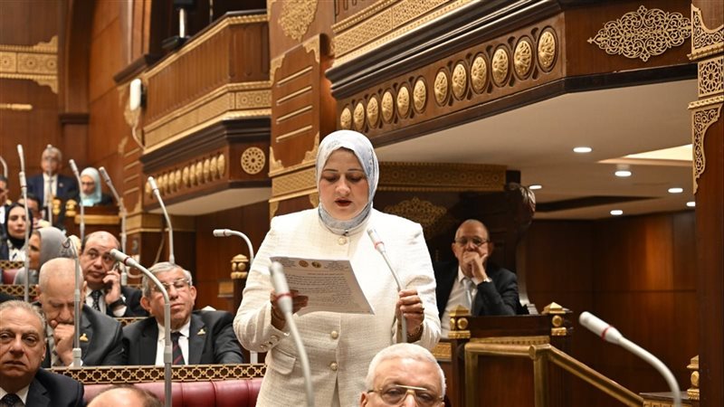 مجلس النواب