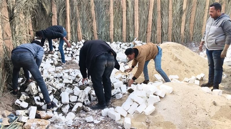 المواطن