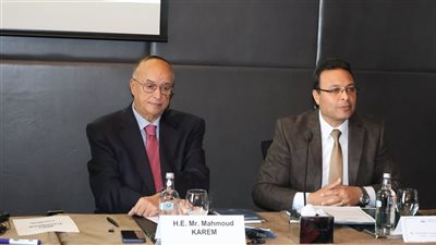 ورشة عمل مشتركة لتفعيل بروتوكول التعاون بين الإحصاء والقومي لحقوق الإنسان 
