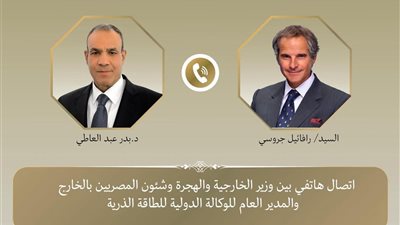 وزير الخارجية يبحث جهود خفض التصعيد بالمنطقة مع الوكالة الدولية للطاقة الذرية