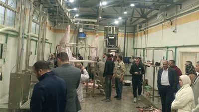 التشغيل التجريبي لمجزر بيلا بكفر الشيخ: 23 مليون جنيه لتطوير المجازر الحكومية