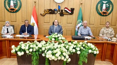 نائب محافظ المنوفية يتابع الموقف النهائي لاستلام المشروعات المتبقية بمبادرة حياة كريمة