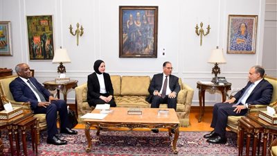 وزير الخارجية يجتمع بنوابه ويؤكد : تكامل الأدوار لدعم السياسة الخارجية المصرية