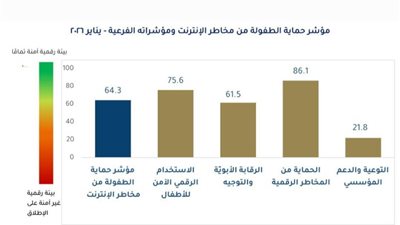 مركز المعلومات يطلق العدد الأول من مؤشر حماية الطفولة من مخاطر الإنترنت