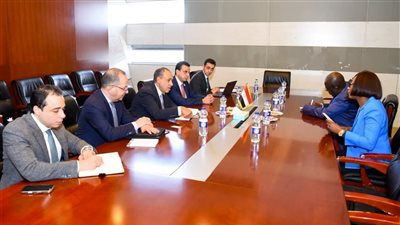 وزير الخارجية يبحث تعزيز التعاون مع وزيرة خارجية جمهورية أفريقيا الوسطى