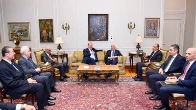 وزير الخارجية المصري يؤكد دعم بلاده للقضية الفلسطينية