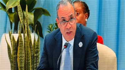 وزير الخارجية المصري ينقل تحيات الرئيس السيسي إلى القادة الأفارقة والمسئولين الدوليين